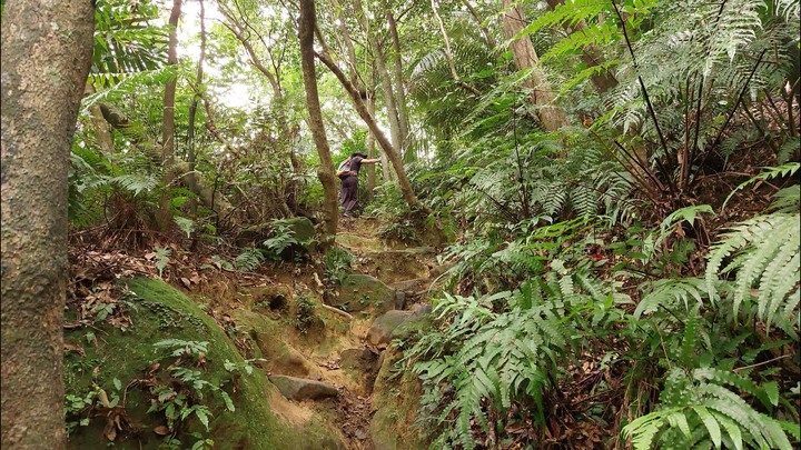 [樂山童盟] [台北文山] 岐山古道-猴山岳前峯-猴山岳