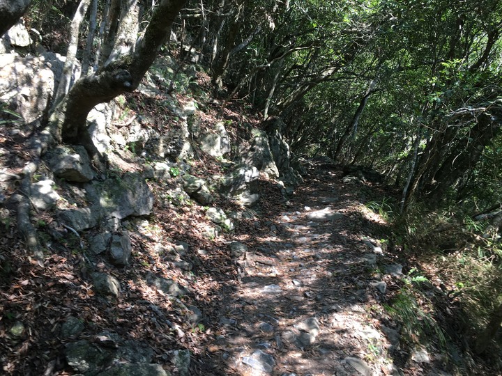 太魯閣健行一日遊,挑戰101高度的錐麓古道