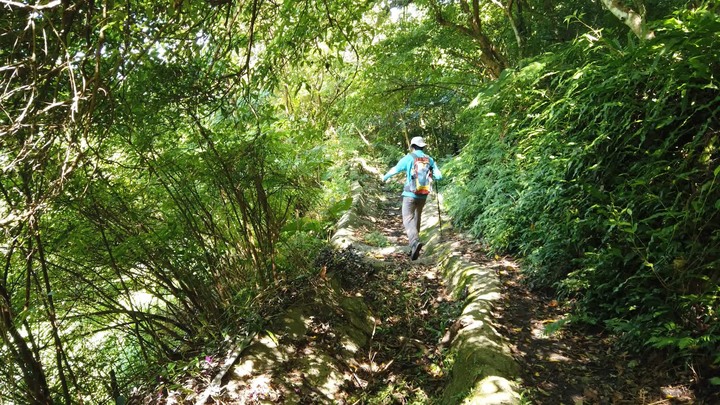 [樂山童盟] [台北文山] 岐山古道-猴山岳前峯-猴山岳