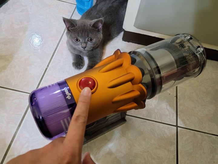 :::貓奴神器::: 雷射綠光偵測 Dyson V12 Detect Slim與7隻貓貓的邂逅