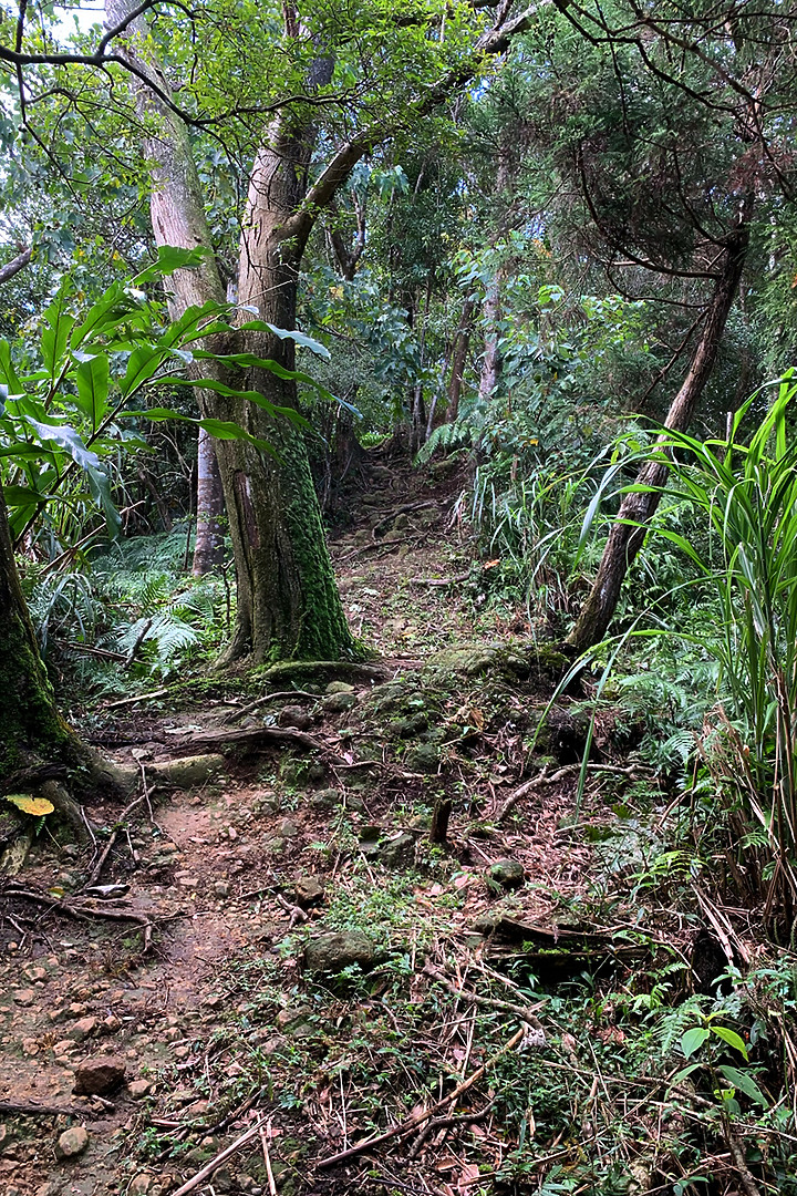 新北平溪|嶺腳寮登山步道|拜訪孤獨車站.親近仙氣滿載的望古瀑布