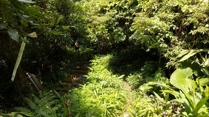 [樂山童盟] [台北文山] 岐山古道-猴山岳前峯-猴山岳