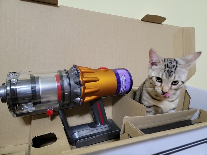 :::貓奴神器::: 雷射綠光偵測 Dyson V12 Detect Slim與7隻貓貓的邂逅