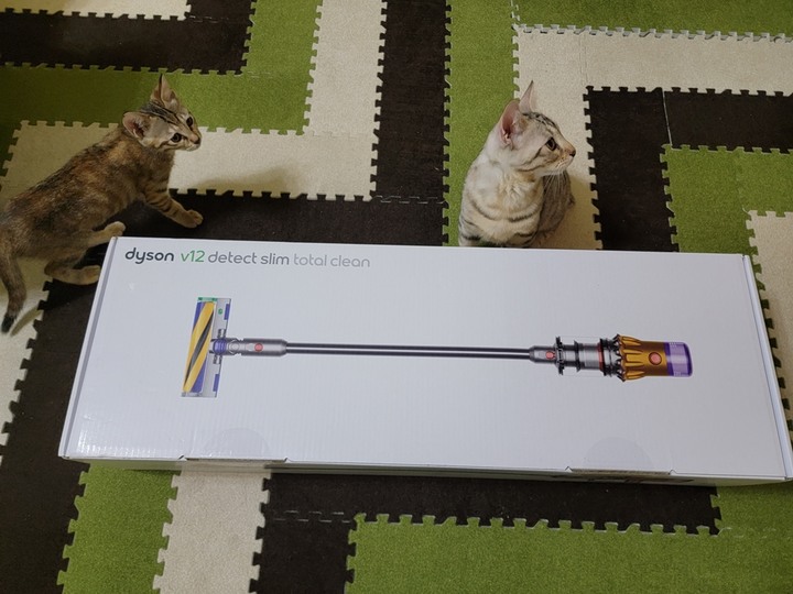 :::貓奴神器::: 雷射綠光偵測 Dyson V12 Detect Slim與7隻貓貓的邂逅