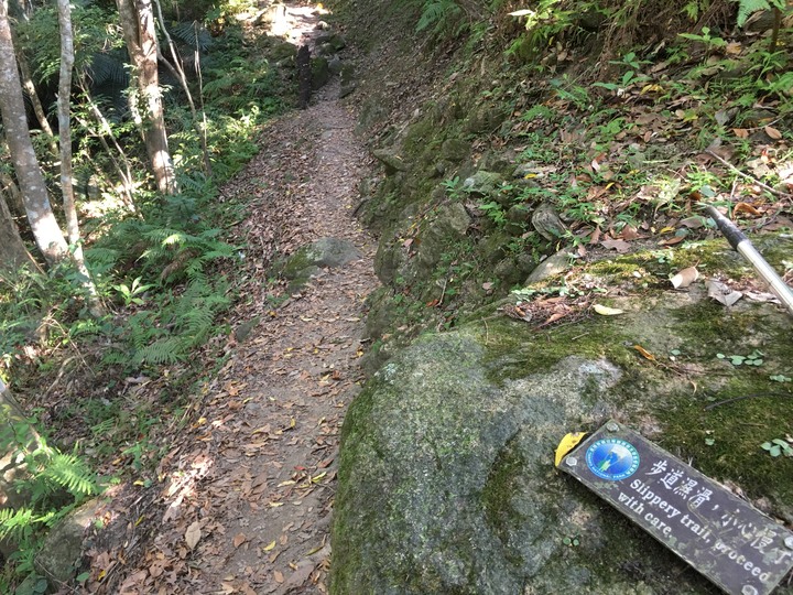 太魯閣健行一日遊,挑戰101高度的錐麓古道