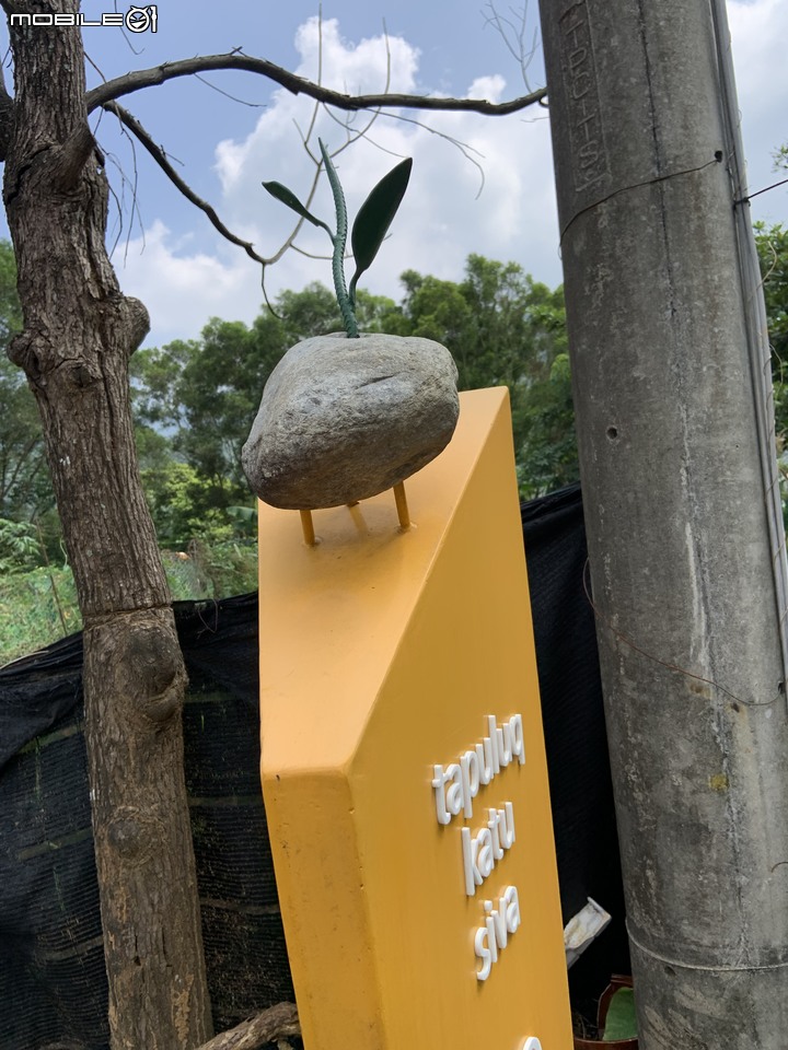 原鄉巡禮,騎上霧台神山~~~