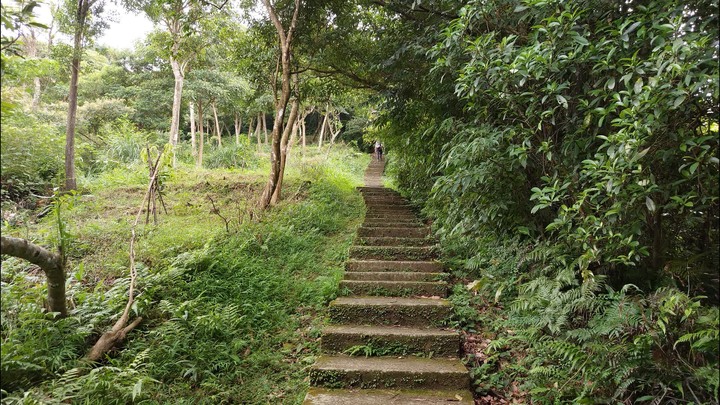 [樂山童盟] [台北文山] 岐山古道-猴山岳前峯-猴山岳