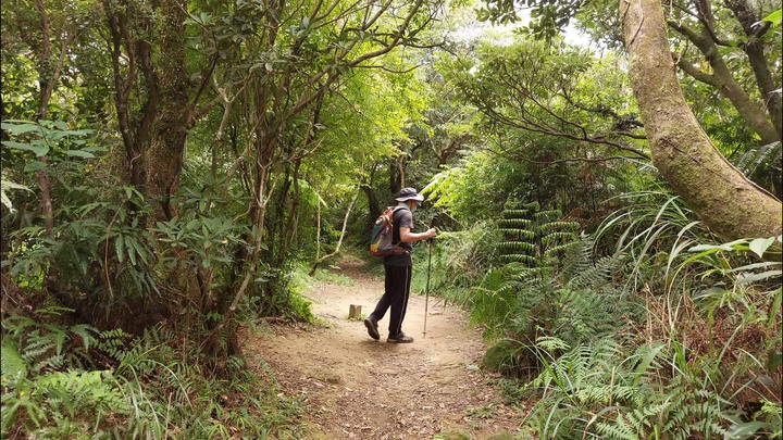 [樂山童盟] [台北文山] 岐山古道-猴山岳前峯-猴山岳