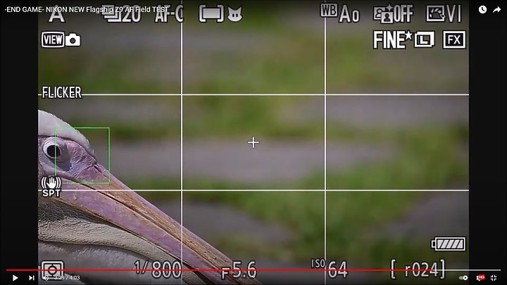 Nikon Z9上市前test run的鳥類攝影集,內文持續增加鳥類生態攝影的影片中。