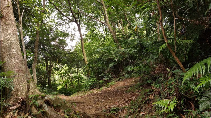 [樂山童盟] [台北文山] 岐山古道-猴山岳前峯-猴山岳