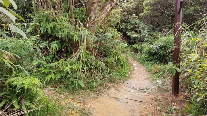 [樂山童盟] [台北文山] 岐山古道-猴山岳前峯-猴山岳