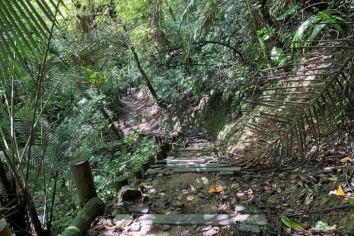 新北平溪|嶺腳寮登山步道|拜訪孤獨車站.親近仙氣滿載的望古瀑布