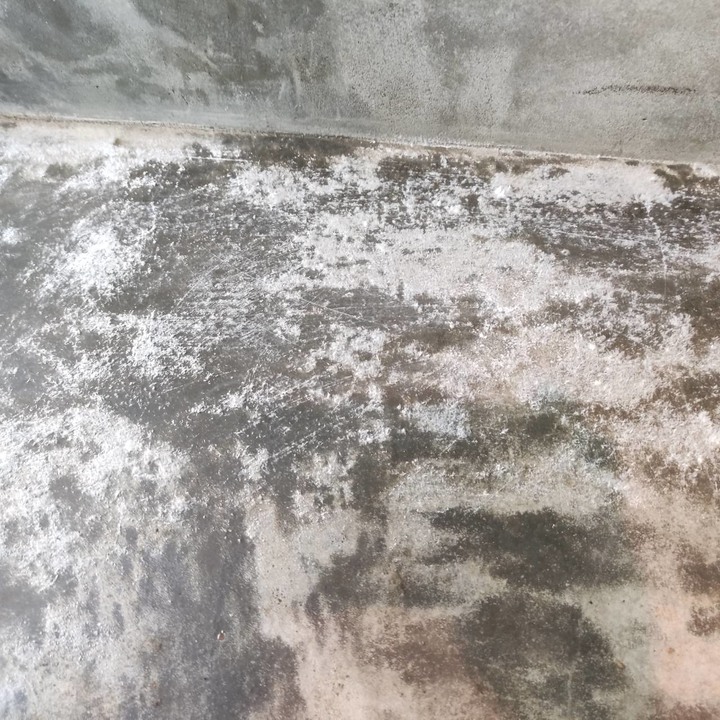 麻煩懂工地的前輩幫忙解答，地面不斷出現白棉絮要怎麼處理