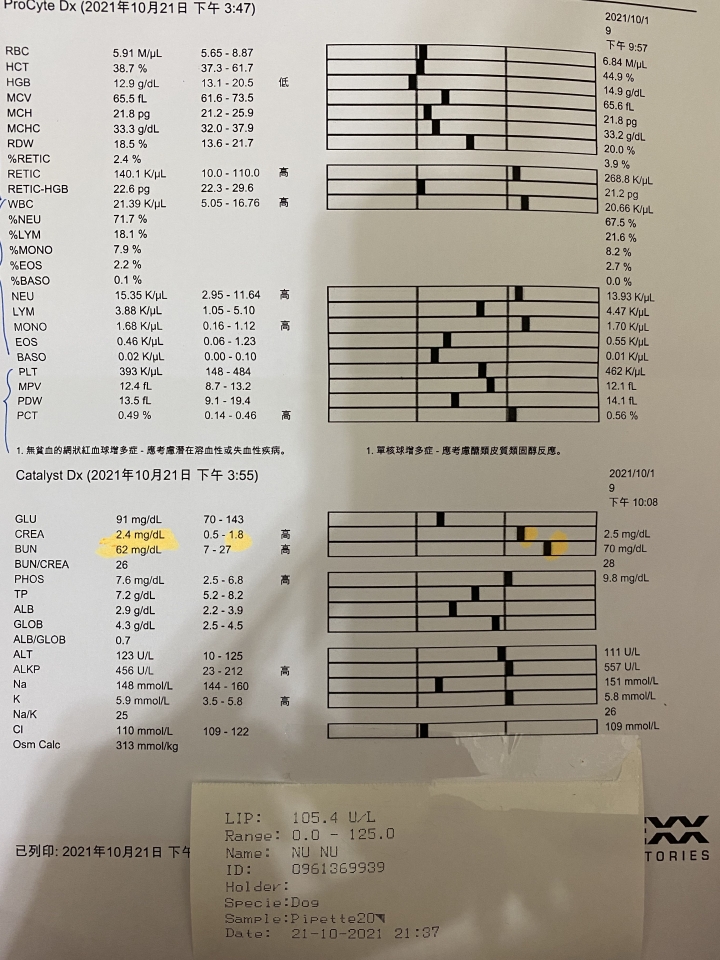 腎臟病及胰臟炎的狗狗鮮食想請益大家