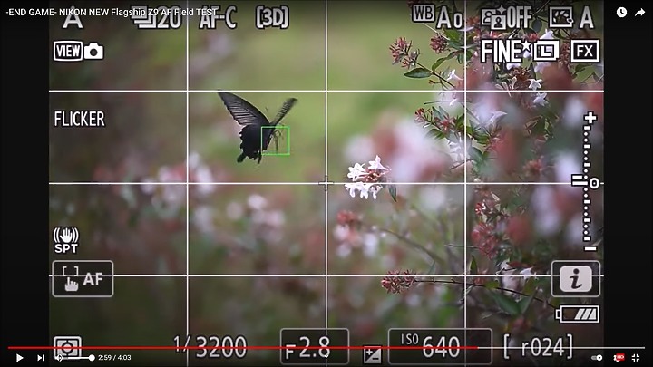 Nikon Z9上市前test run的鳥類攝影集,內文持續增加鳥類生態攝影的影片中。