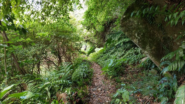 [樂山童盟] [台北文山] 岐山古道-猴山岳前峯-猴山岳