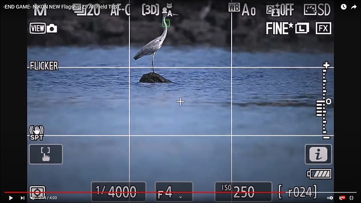 Nikon Z9上市前test run的鳥類攝影集,內文持續增加鳥類生態攝影的影片中。