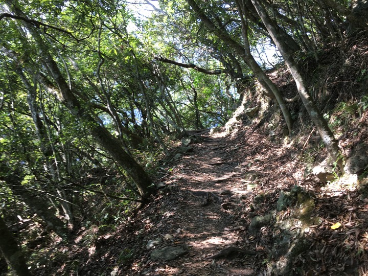 太魯閣健行一日遊，挑戰101高度的錐麓古道