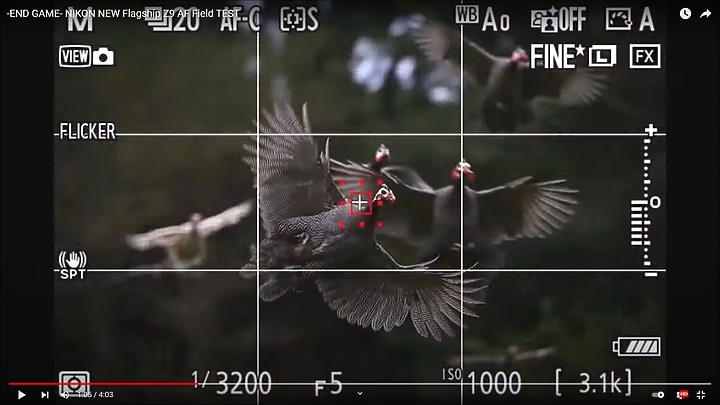 Nikon Z9上市前test run的鳥類攝影集,內文持續增加鳥類生態攝影的影片中。