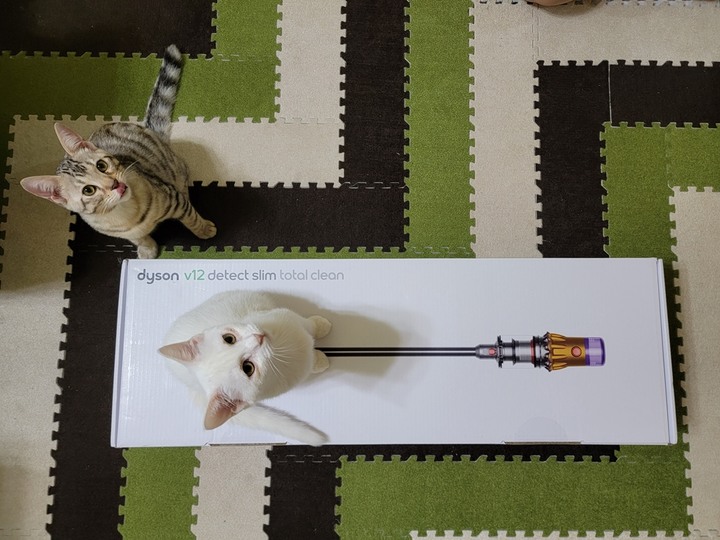 :::貓奴神器::: 雷射綠光偵測 Dyson V12 Detect Slim與7隻貓貓的邂逅