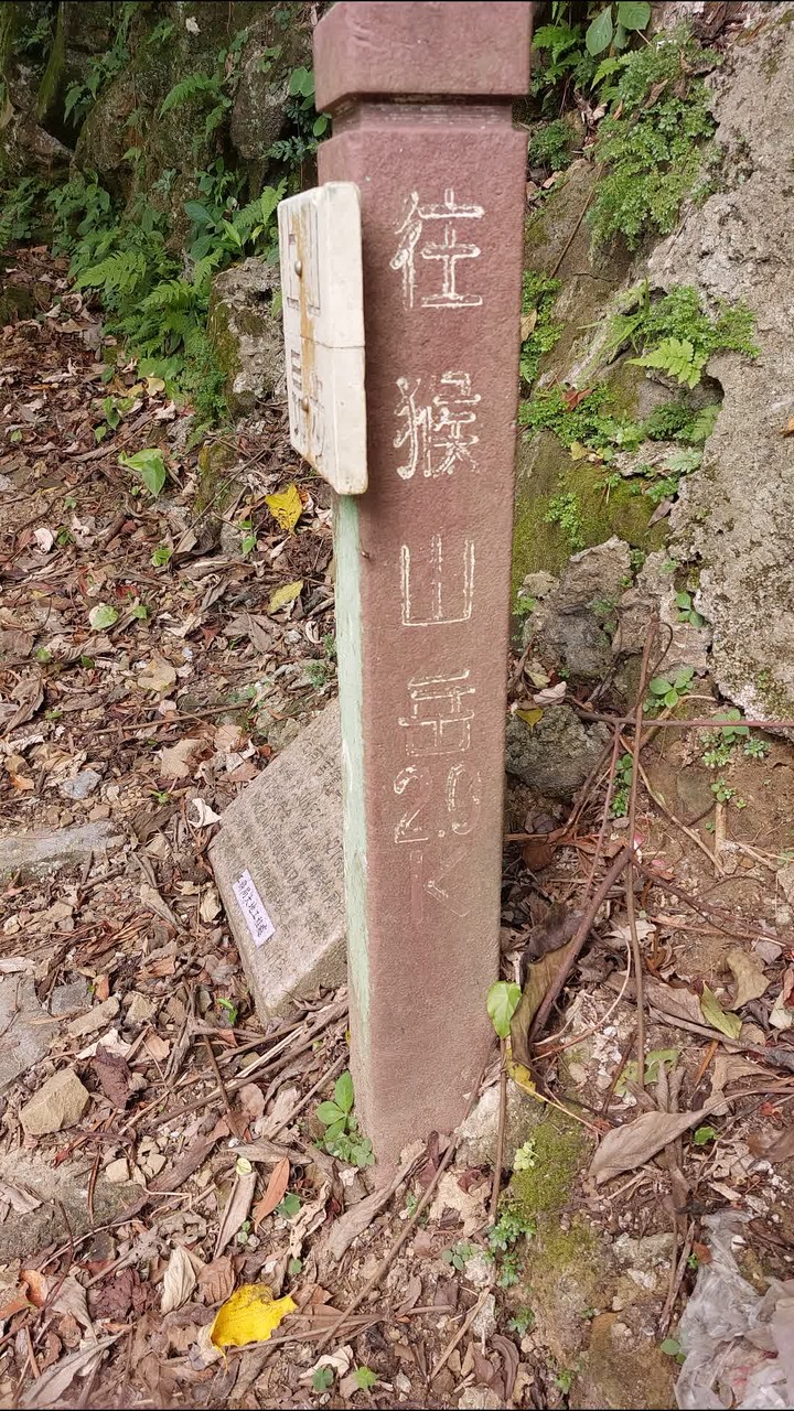 [樂山童盟] [台北文山] 岐山古道-猴山岳前峯-猴山岳