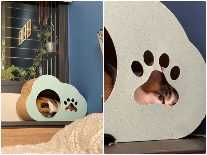 兩代旗艦對決！iPhone 13 Pro 對決 12 Pro Max，這樣拍照算是有感升級嗎？