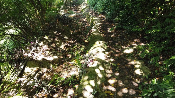 [樂山童盟] [台北文山] 岐山古道-猴山岳前峯-猴山岳
