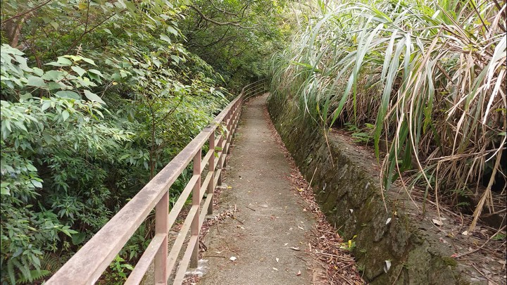 [樂山童盟] [台北文山] 岐山古道-猴山岳前峯-猴山岳