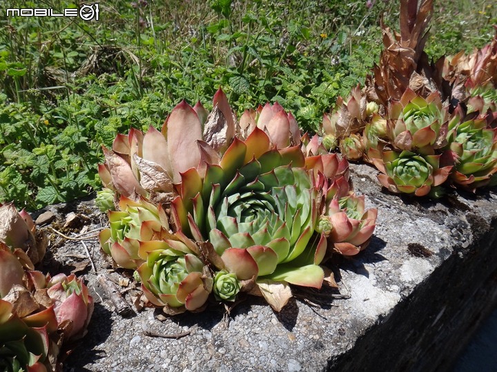 【獨．行】：2013年｜一個女生「西班牙800公里」朝聖之旅（29）