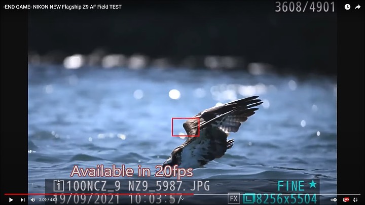 Nikon Z9上市前test run的鳥類攝影集,內文持續增加鳥類生態攝影的影片中。