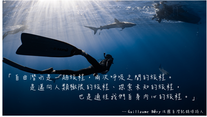 【自由潛水新手學習】學習前一定要先知道的困難點｜自潛 vs水肺潛水的好處｜考證照台北潛店推薦｜野孩子的生活Wild Kids Life