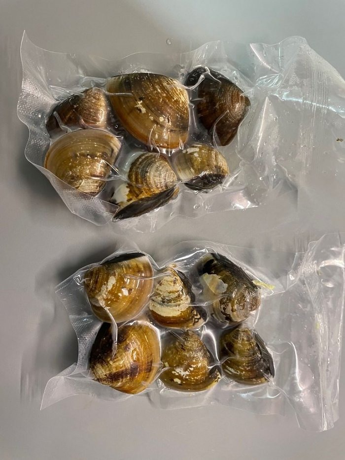 點我看大圖 Costco回購N次的酸菜白肉鍋