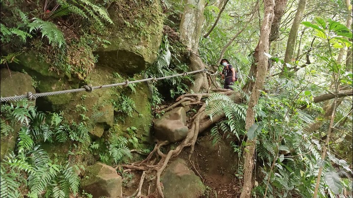 [樂山童盟] [台北文山] 岐山古道-猴山岳前峯-猴山岳
