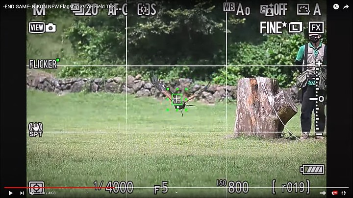 Nikon Z9上市前test run的鳥類攝影集,內文持續增加鳥類生態攝影的影片中。