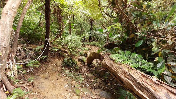 [樂山童盟] [台北文山] 岐山古道-猴山岳前峯-猴山岳