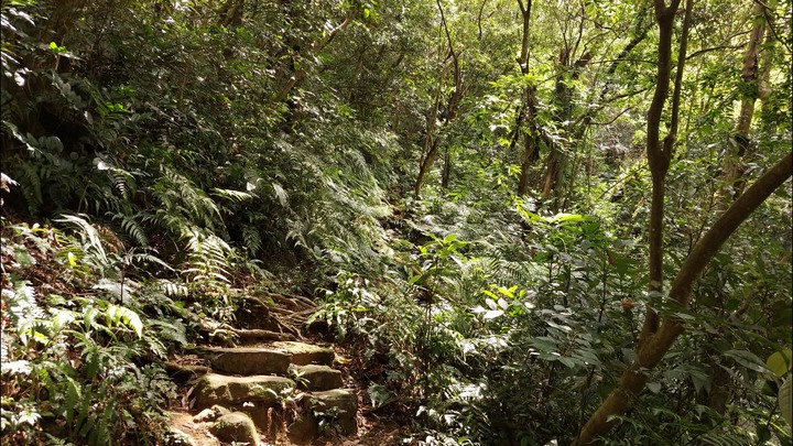 [樂山童盟] [台北文山] 岐山古道-猴山岳前峯-猴山岳