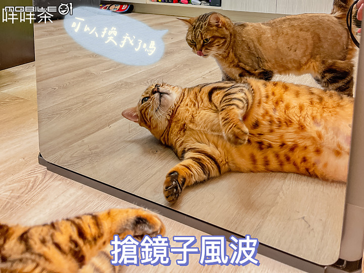 點我看大圖 ★科技衣櫥翻轉你的健康新思路★LG styler 蒸氣電子衣櫥PLUS五件組試用心得 B723MR