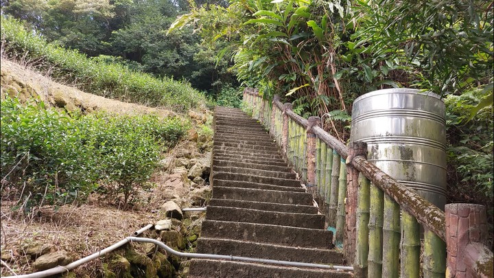 [樂山童盟] [台北文山] 岐山古道-猴山岳前峯-猴山岳