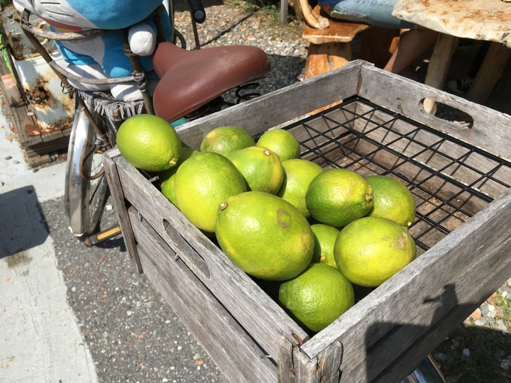 騎 向 洄 瀾 ( 花 蓮 市 ) 單 車 之 旅