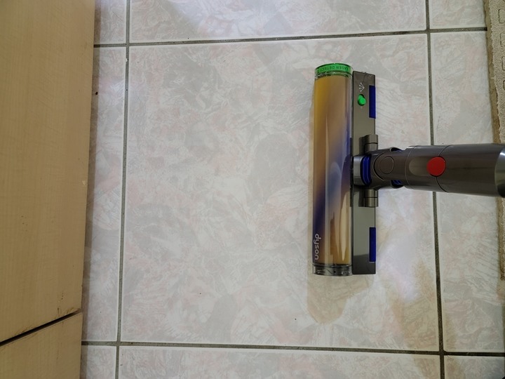 :::貓奴神器::: 雷射綠光偵測 Dyson V12 Detect Slim與7隻貓貓的邂逅