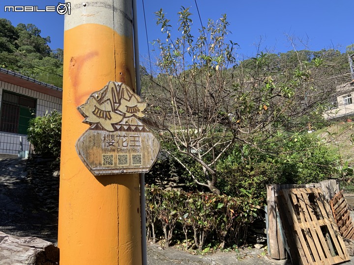 原鄉巡禮,騎上霧台神山~~~