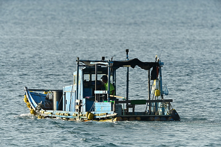 因為黃頭鷺，認識更多車城海口港的美，這裡的夕陽真的很美。