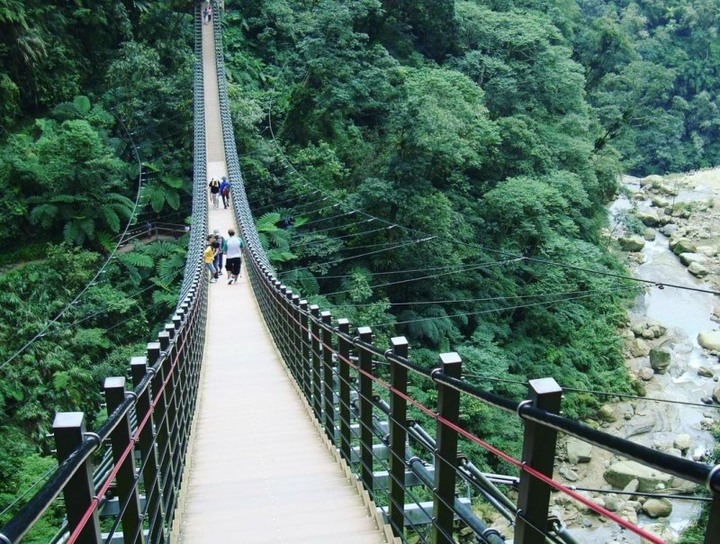 南投人久等了!「竹山天梯吊橋」睽違兩年11月將重新開園!