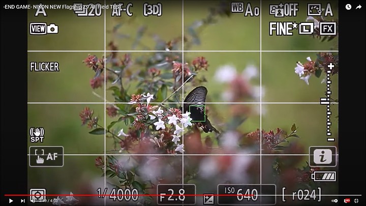 Nikon Z9上市前test run的鳥類攝影集,內文持續增加鳥類生態攝影的影片中。