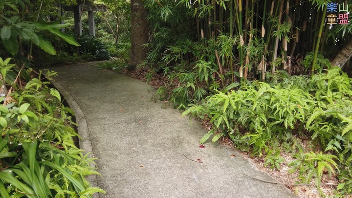 [樂山童盟] [台北文山] 岐山古道-猴山岳前峯-猴山岳