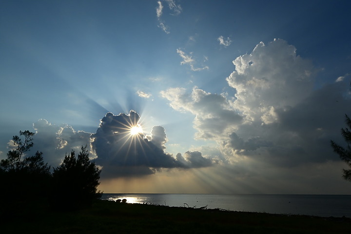 因為黃頭鷺，認識更多車城海口港的美，這裡的夕陽真的很美。