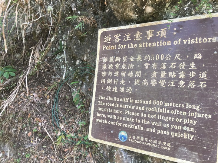 太魯閣健行一日遊,挑戰101高度的錐麓古道