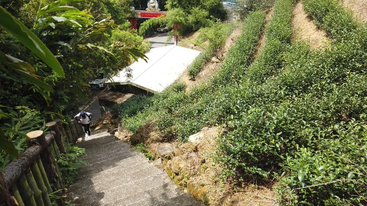 [樂山童盟] [台北文山] 岐山古道-猴山岳前峯-猴山岳