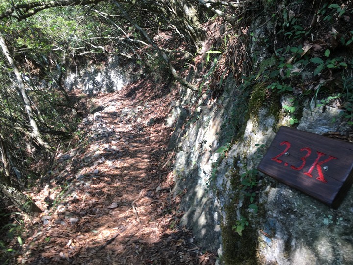 太魯閣健行一日遊,挑戰101高度的錐麓古道