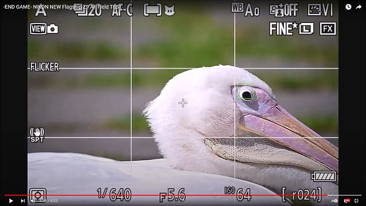 Nikon Z9上市前test run的鳥類攝影集,內文持續增加鳥類生態攝影的影片中。
